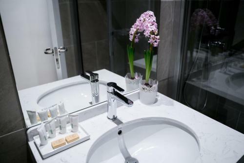 Apartamento Arco Macarena Lofts
