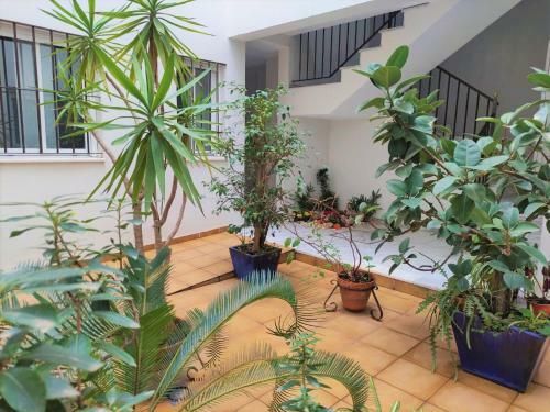 Apartamento Metropol Sweet Home