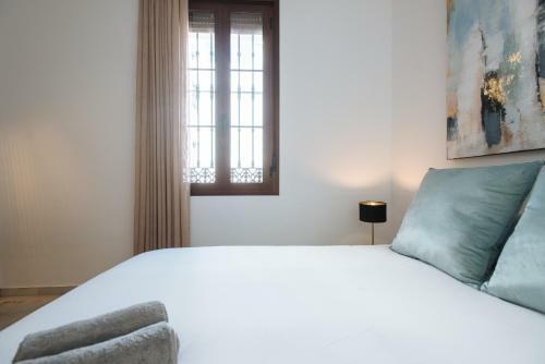 Magno Apartments Requena