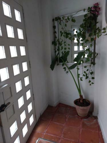 Apartamento Alameda H�rcules