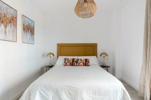 Apartamento Terraza Catedral Olehousing