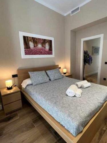 Deluxe Twobedroom Apartment Seville Downtown