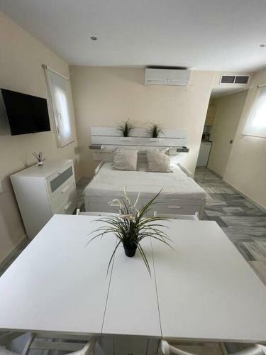 Apartamento En Calle Roci�-triana