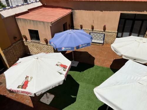 Apartamento Casa Cortijo Olivar