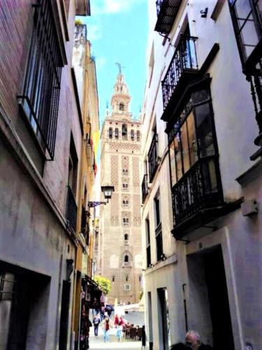 Apartamento �en Frente de La Giralda-catedral!