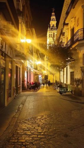 Apartamento �en Frente de La Giralda-catedral!