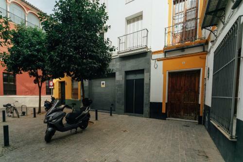 Apartamento Alohamundi San Mart�n