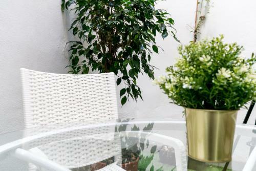 Svl - Apartamento Con Terraza En El Centro Hist�rico