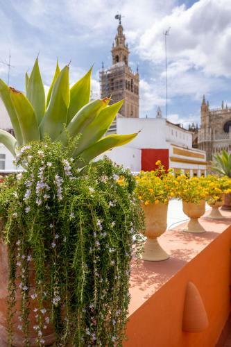 Apartamento Ohliving Cathedral View
