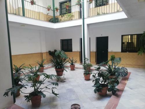 Apartamento El Alcazar De Ana