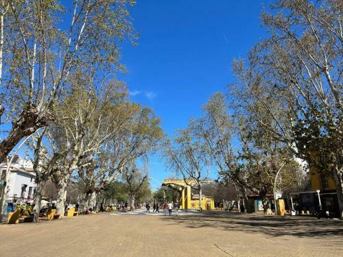 Apartamento Suite Alameda De Hercules