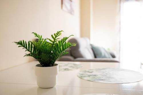 Apartamento Do�a Concha Alameda
