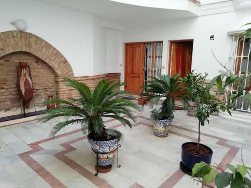 Apartamento Alfalfa