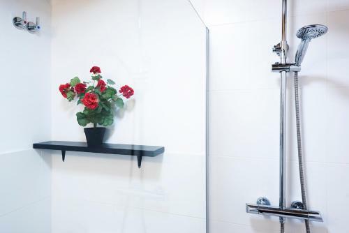 Apartamento Alohamundi H�rcules