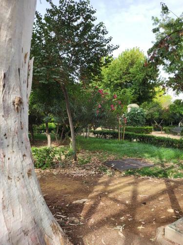 Apartamento Jardines Del Valle Jacuzzi 5 Pax