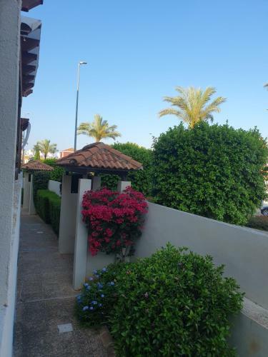 Apartamento Sara Green House