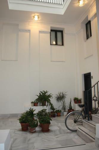 San Luis Downtown & Pool Apartment