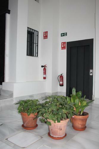 San Luis Downtown & Pool Apartment