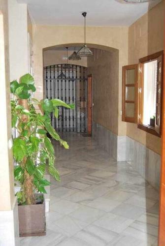 Apartamento Conde De Torrej�n Casco Antiguo