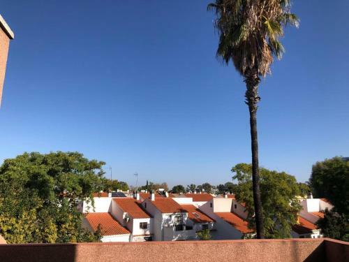 Familia Anfitriona Acoge Terraza