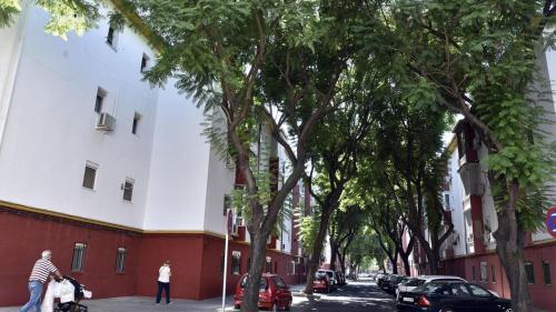 Apartamento Triana