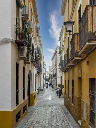 Apartamento Alfaqueque Home Museo