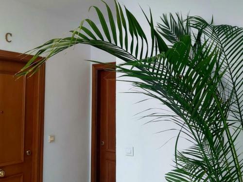 Apartamento Junto A La Calle Betis: El Coraz�n de Triana