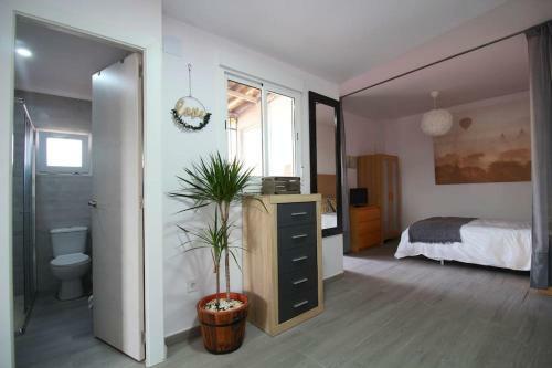 Apartamento Suite Puerta Osario Con Terraza