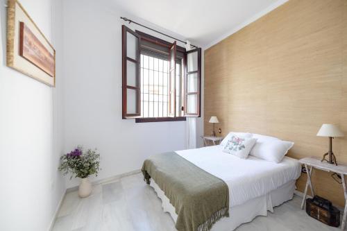 Apartamento Jacaranda Catedral