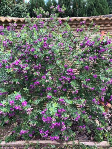 Villa Juliana 3 Home