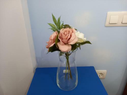 Apartamento Greenhouse