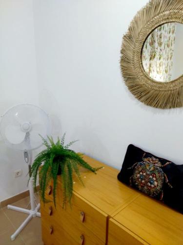 Apartamento Greenhouse