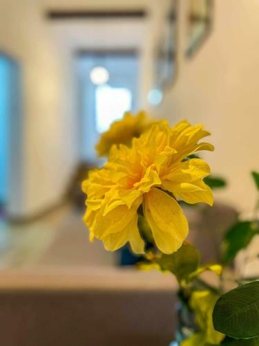 Markethome Casa Jacinto Santiago Del Teide