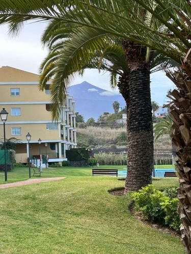 Apartamento Acogedor Vistas Piscina Y Teide