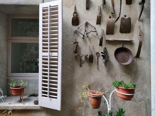 Apartament Volc� Aiguanegra