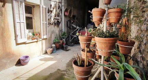 Apartament Volc� Aiguanegra