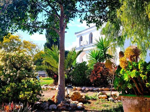 Villa Chalet Alicante Sol Y Luz