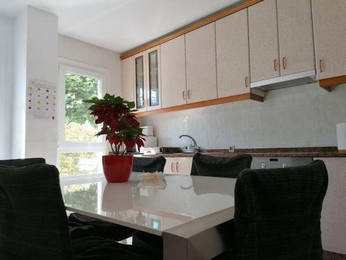 Apartamento Piso Nuevo Y Moderno
