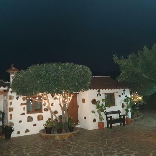 La Gallania De Pap� Pepe