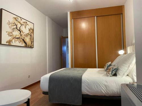 Apartamentos Ciudad Santiago