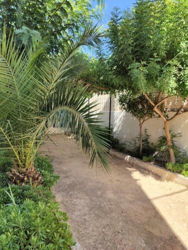 Apartamento Appartement Cosy � 100m De La Mer