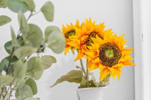 Apartamento Sunflower Avenida