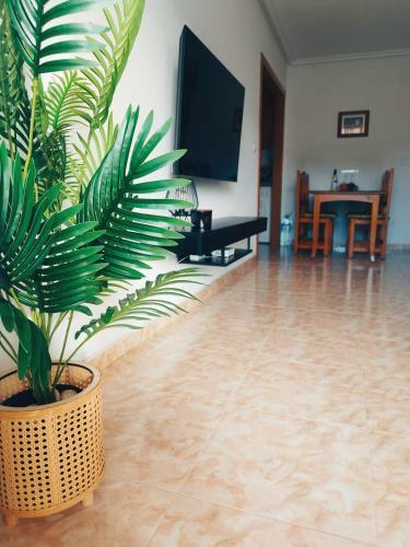 Apartamento Santa Pola Playa