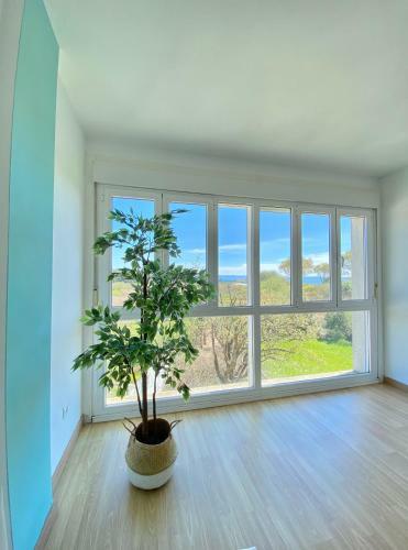 Apartamento A 2 Min De La Playa