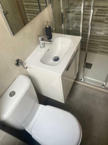 Apartamento Estudio Lealtad