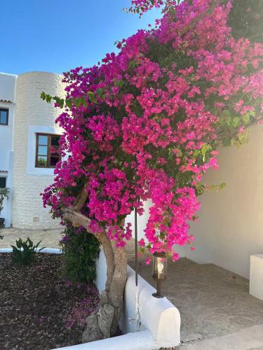Villa Your Perfect Hideaway Only 5 Minutes From Ibiza