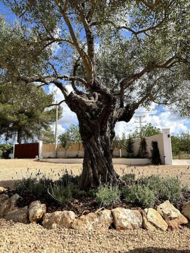 Villa Your Perfect Hideaway Only 5 Minutes From Ibiza
