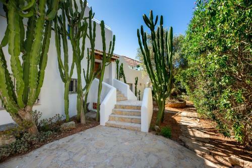 Villa Amarantos