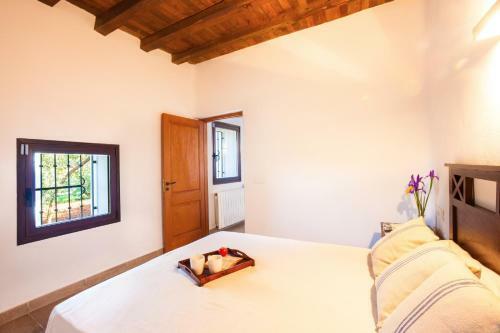 Villa Can Macia