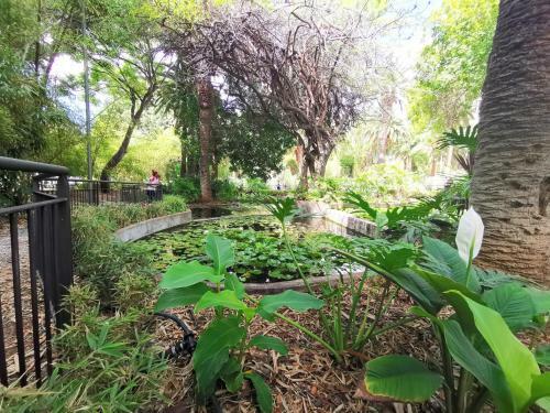 Apartamento Home2book Centric & Cozy Flat Rambla Santa Cruz